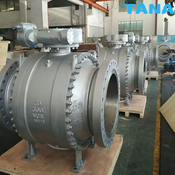 Casted Trunnion Mounted Ball Valve