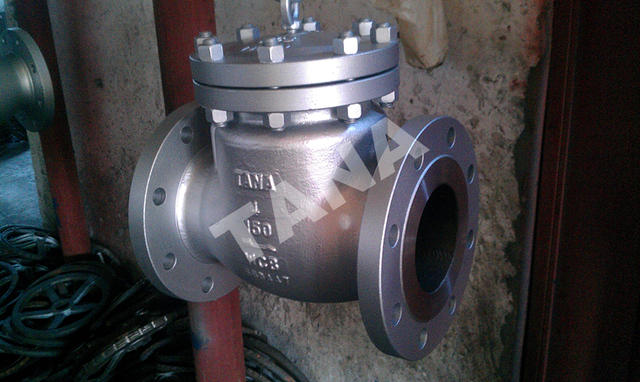 Swing check valve exported to Syria